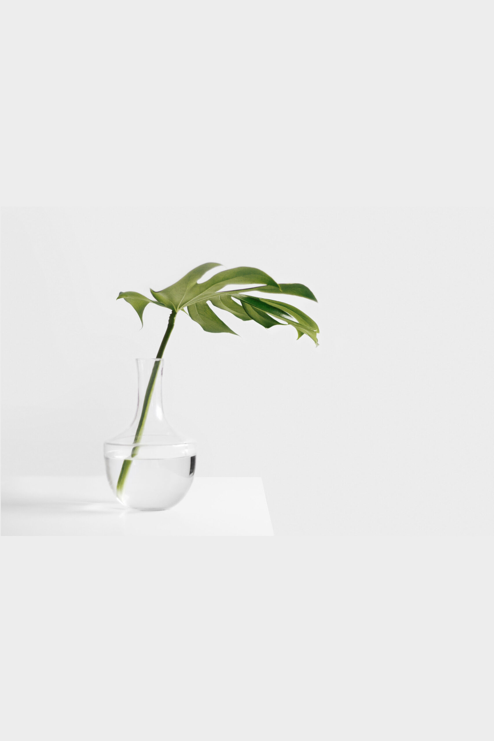 sarah-dw123483-unsplash-min sarah-dw123483-unsplash-min